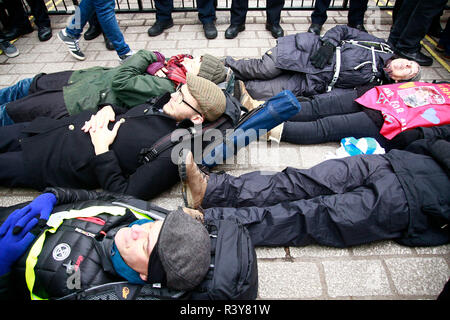 London, UK. 24th Nov 2018. Climate Change protest, Extinction Rebellion Day Two, Central London. Environmental and climate Protesters gathered on Parliament Square for a Rebellion Day number two. Speeches, songs and poems were read out by activists, among those speaking was a rabbi and a climate change lawyer. Protesters attempted to dig a grave, which was halted by strong-arm police tactics. Protesters then marched to Buckingham Palace, where a coffin was placed at the gates, and Protesters were invited to lay wreaths and lists of endangered animals. Credit: Natasha Quarmby/Alamy Live News Stock Photo