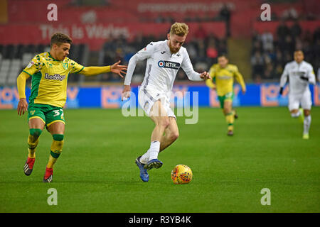 Swansea, UK. 24th November 2018. Oli McBurnie of Swansea city ¨ in action. EFL Skybet championship match, Swansea city v Norwich City at the Liberty Stadium in Swansea, South Wales on Saturday 24th November 2018.  this image may only be used for Editorial purposes. Editorial use only, license required for commercial use. No use in betting, games or a single club/league/player publications. pic by Phil Rees/Andrew Orchard sports photography/Alamy Live news Stock Photo