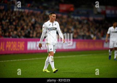 Swansea, UK. 24th November 2018. Swansea City player Connor Roberts. EFL Skybet championship match, Swansea city v Norwich City at the Liberty Stadium in Swansea, South Wales on Saturday 24th November 2018.  this image may only be used for Editorial purposes. Editorial use only, license required for commercial use. No use in betting, games or a single club/league/player publications. pic by Phil Rees/Andrew Orchard sports photography/Alamy Live news Stock Photo