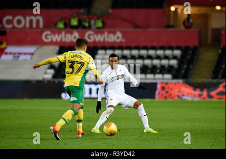 Swansea, UK. 24th November 2018. Martin Olsson of Swansea City ¨. EFL Skybet championship match, Swansea city v Norwich City at the Liberty Stadium in Swansea, South Wales on Saturday 24th November 2018.  this image may only be used for Editorial purposes. Editorial use only, license required for commercial use. No use in betting, games or a single club/league/player publications. pic by Phil Rees/Andrew Orchard sports photography/Alamy Live news Stock Photo