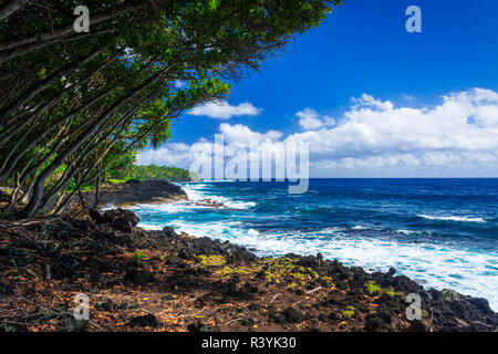 Rocky coastline along the Puna Coast, Pahoa, The Big Island, Hawaii, USA Stock Photo