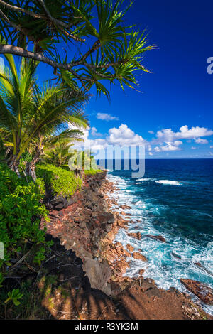 Surf and palms along the Puna Coast, The Big Island, Hawaii, USA Stock Photo
