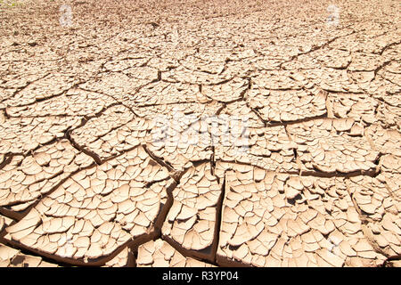 Dried Ground - Global Warming Stock Photo