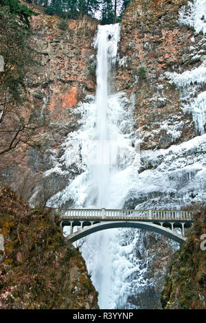 Multnomah Falls, frozen, winter, Columbia Gorge, Oregon, USA Stock Photo