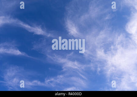 Cirrus clouds (Cirrus) with blue sky, Germany Stock Photo