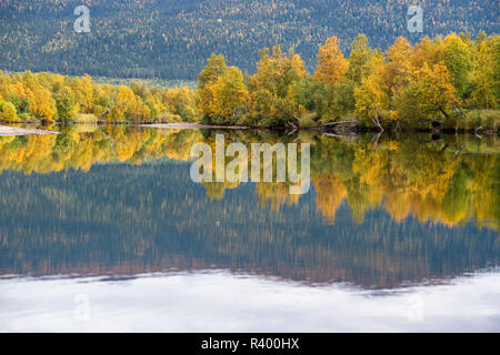 River Tarraätno in autumn, Kvikkjokk, Laponia, Norrbotten, Lapland, Sweden Stock Photo