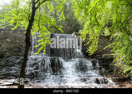 Hickory Run State Park, Carbon County, Pennsylvania, Usa Stock Photo