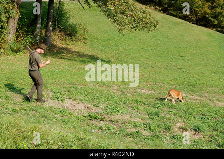A hunter with a tracking hound on work.