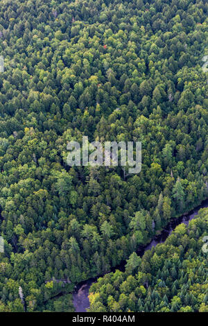 Wytipitlock Stream, Reed Plantation in Reed, Maine Stock Photo - Alamy