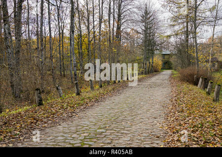 an old paved road, covered with yellow leaves in the fall Stock Photo