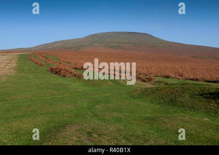 Summit of Sugar loaf Mountain Stock Photo