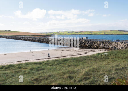 man walking on beach next to Churchill Barrier no 3 causeway, linking the islands of Glimps Holm and Burray, , Orkney, Scotland, UK Stock Photo