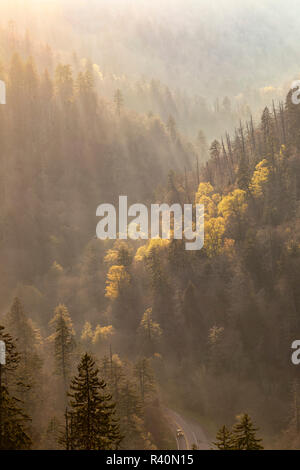 Sunlight streaming through trees at sunset, from Morton Overlook, Great Smoky Mountains National Park, Tennessee Stock Photo