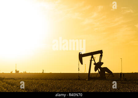 USA, Texas. Martin County, Pumpjack on cotton field at sunset Stock Photo