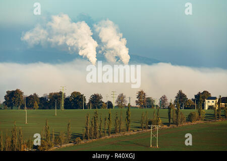 smoking chimneys in from factory hidden in mist Stock Photo