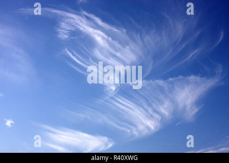 angel wings Stock Photo