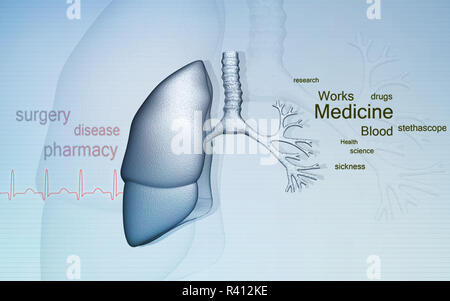 Human lungs Stock Photo