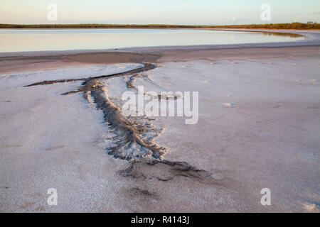 Salt deposits at Sal del Rey Stock Photo - Alamy