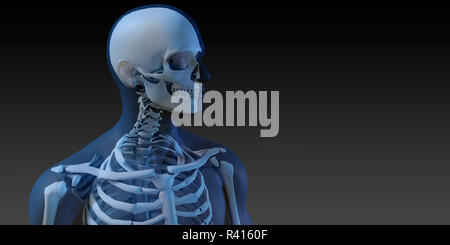 Human Anatomy with Visible Skeleton and Muscles Stock Photo