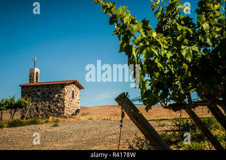 USA, Washington State, Yakima Valley. Red Willow Vineyard. Stock Photo