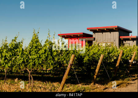 tiny houses washington state cottage style usa washington state horse heaven hills tiny house glamping at destiny ridge tiny houses washington state cottage style usa washington state horse heaven hills tiny house glamping at destiny ridge