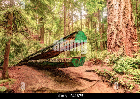 Schmitz Preserve Park, 53 acre Old Growth Forest in West Seattle, Washington State, USA Stock Photo