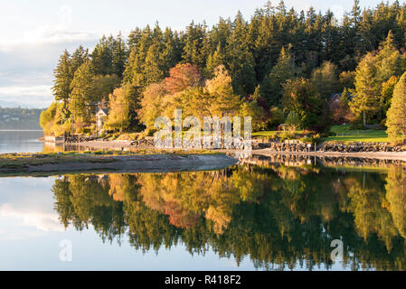 USA, Washington State, Bainbridge Island. Fall color reflected in calm water Stock Photo