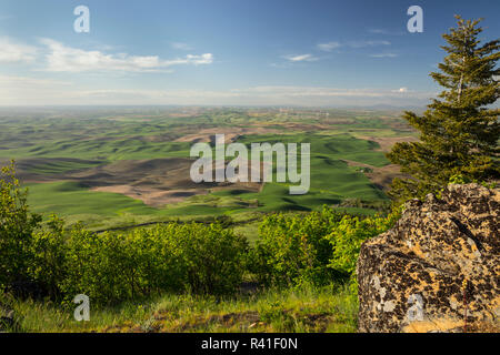 USA, Washington State, Whitman County. Views from Steptoe Butte State Park. Stock Photo