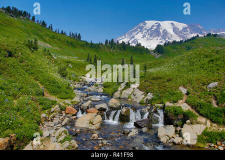 USA, Washington State, Mount Rainier National Park. Mount Rainier and Edith Creek cascade. Stock Photo