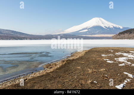 Mount Fuji Iced Yamanaka Lake Stock Photo