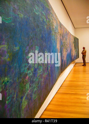 A man observes Monet's "Water Lilies" the Museum of Modern Art (MOMA) in New York city Stock Photo - Alamy