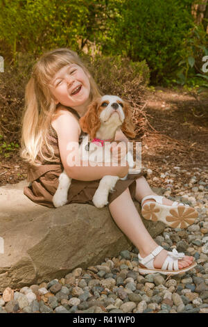 Issaquah, Washington State, USA. Three year old girl holding a 15 week old Cavalier King Charles Spaniel puppy. (PR,MR) Stock Photo