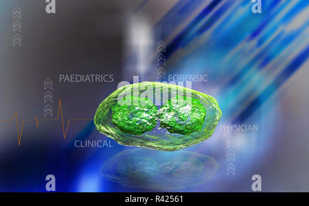 pox virus Stock Photo