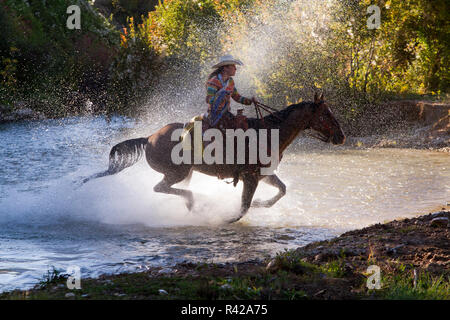 USA, Wyoming, Shell, The Hideout Ranch, Cowgirl on Horseback Crossing the Creek in a Spray of Water (MR, PR) Stock Photo