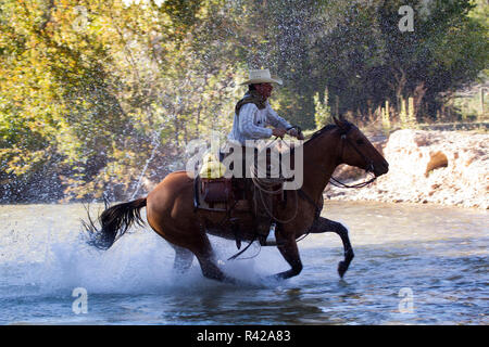 Usa, Wyoming, Shell, The Hideout Ranch, Cowboy Riding Horse Across the River (MR, PR) Stock Photo