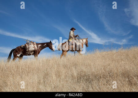 Usa, Wyoming, Shell, The Hideout Ranch, Cowboy on Horseback with Pack Horse (MR, PR) Stock Photo