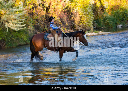 USA, Wyoming, Shell, Young Cowboy and His Horse Crossing River (MR) Stock Photo
