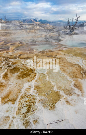 Travertine mineral terraces, Mammoth Hot Springs, Yellowstone National Park. Stock Photo