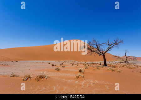 Dune 45 in sossusvlei Namibia with dead tree Stock Photo