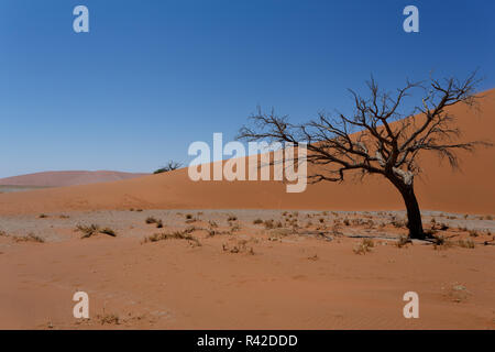 Dune 45 in sossusvlei Namibia with dead tree Stock Photo