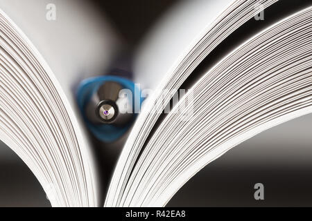 A blue ball pen embedded in an open book. Concept of education, study, research. Macro with shallow depth of field. Stock Photo