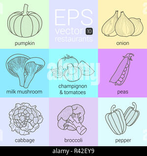 vector set icons vegetables contour linear pictogram collection vegetarian ingredients of food Stock Photo