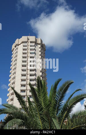 hochhaus hinter palme Stock Photo