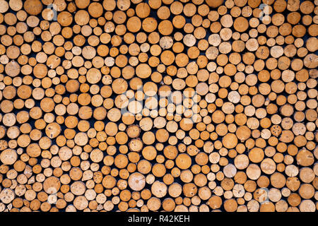 Round wooden stumps background,Trees cut section for background texture Stock Photo