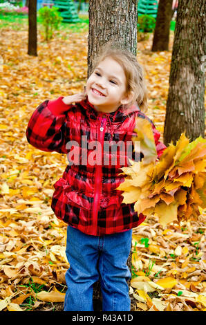 Little girl with a bouquet of yellow maple leaves Stock Photo