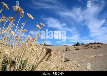 the teide on tenerife in the canary islands