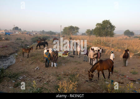 Scene at the Pushkar livestock festival in Rajasthan, India Stock Photo