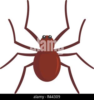 Grass spider icon. Flat illustration of grass spider vector icon for web isolated on white Stock Vector