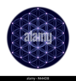 Golden cosmic Flower of Life with stars on black background, a ...