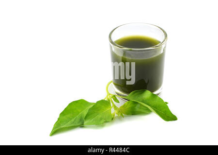 Vegetable juice water green herbs green basil leaf vegetable